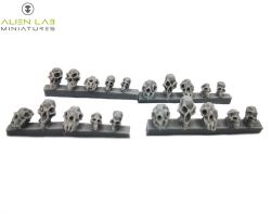 Alien Lab Miniatures SOTB001 Skulls of the Beast [20szt] 28mm/32mm - Czaszki bestii