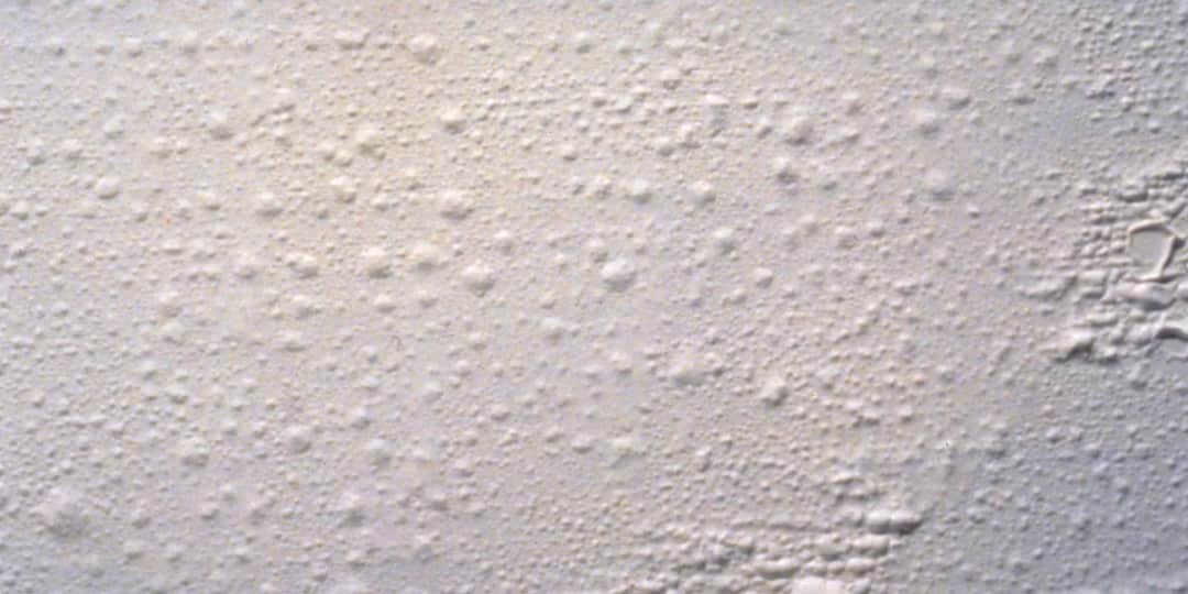 Jak skutecznie malować chropowate ściany, unikając błędów?