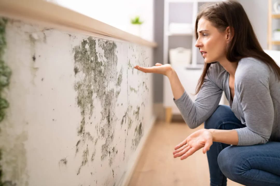 Skuteczne sposoby na pozbycie się pleśni ze ściany w domu